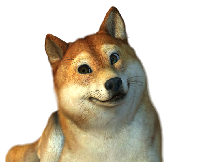 Doge Holotech original avatar